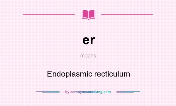 What does er mean? It stands for Endoplasmic recticulum