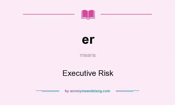 What does er mean? It stands for Executive Risk