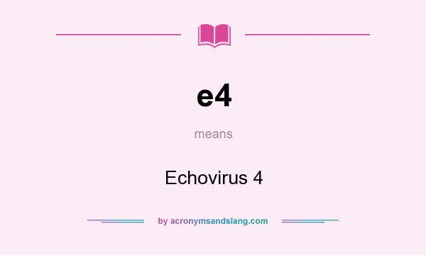 What does e4 mean? It stands for Echovirus 4