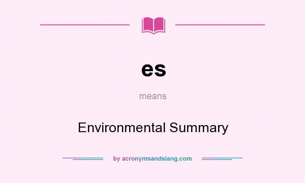 What does es mean? It stands for Environmental Summary