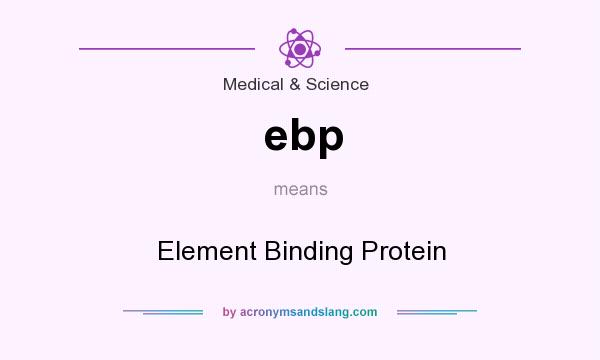 What does ebp mean? It stands for Element Binding Protein