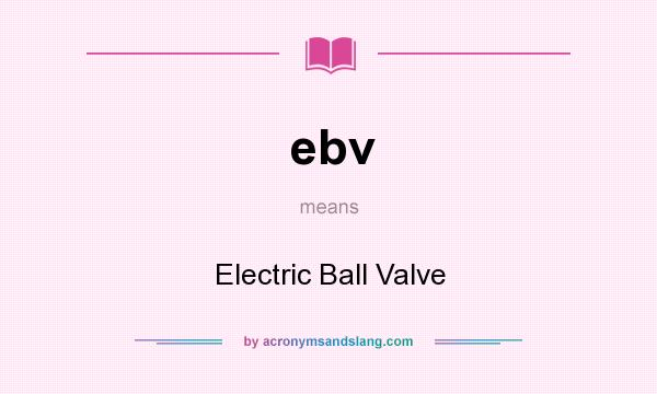 What does ebv mean? It stands for Electric Ball Valve