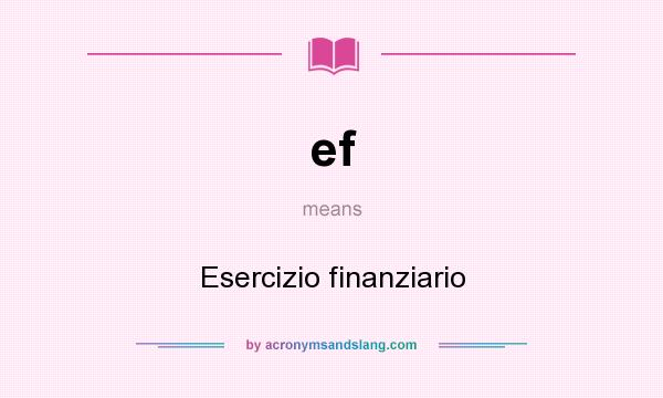 What does ef mean? It stands for Esercizio finanziario