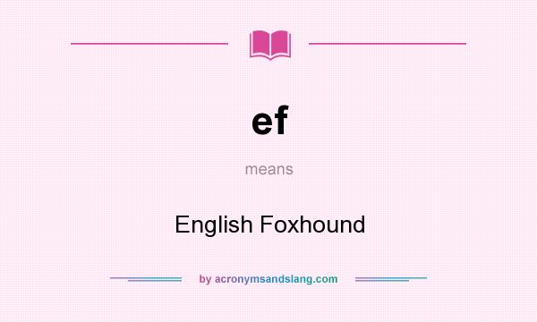 What does ef mean? It stands for English Foxhound