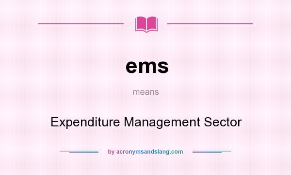 What does ems mean? It stands for Expenditure Management Sector