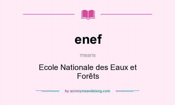 What does enef mean? It stands for Ecole Nationale des Eaux et Forêts