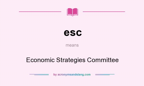 What does esc mean? It stands for Economic Strategies Committee