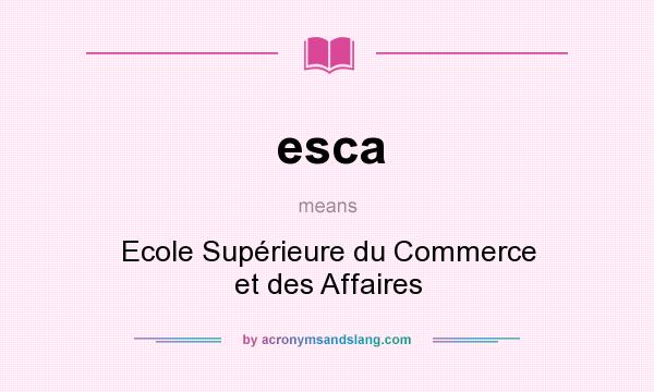 What does esca mean? It stands for Ecole Supérieure du Commerce et des Affaires