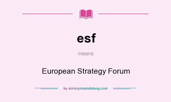 What does esf mean? It stands for European Strategy Forum
