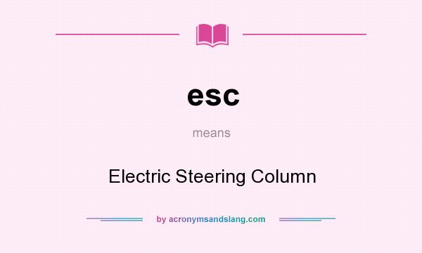What does esc mean? It stands for Electric Steering Column