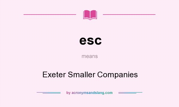 What does esc mean? It stands for Exeter Smaller Companies