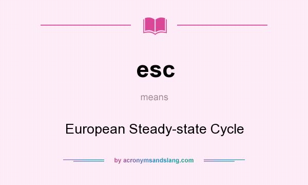 What does esc mean? It stands for European Steady-state Cycle