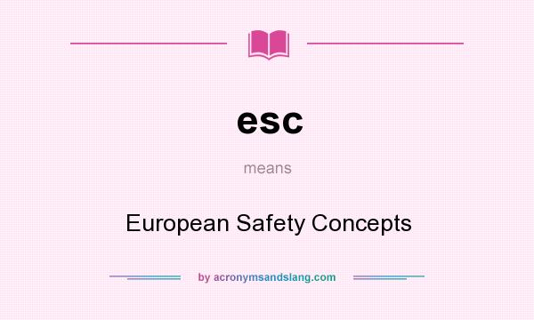 What does esc mean? It stands for European Safety Concepts