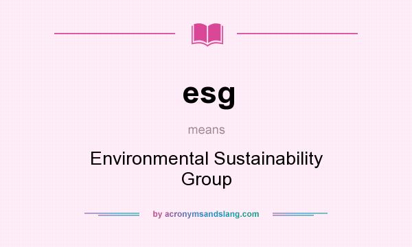 What does esg mean? It stands for Environmental Sustainability Group