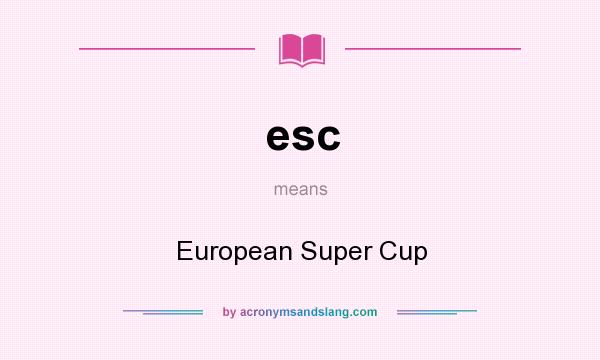 What does esc mean? It stands for European Super Cup
