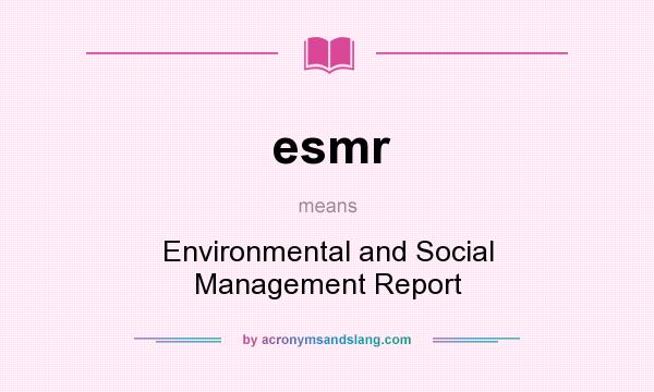 What does esmr mean? It stands for Environmental and Social Management Report