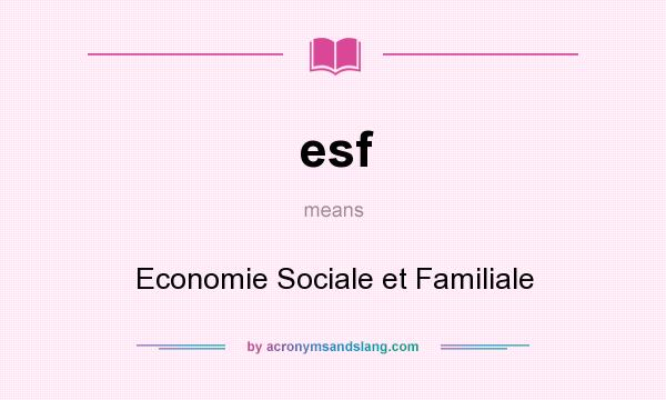 What does esf mean? It stands for Economie Sociale et Familiale