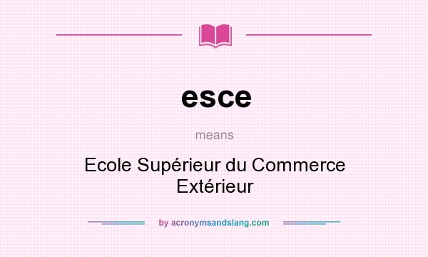 What does esce mean? It stands for Ecole Supérieur du Commerce Extérieur