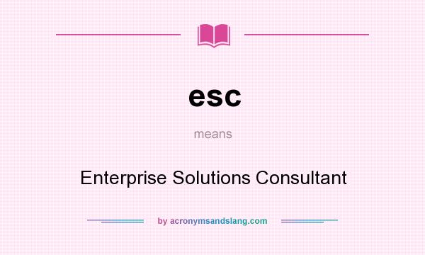 What does esc mean? It stands for Enterprise Solutions Consultant