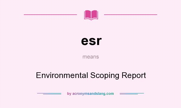 What does esr mean? It stands for Environmental Scoping Report