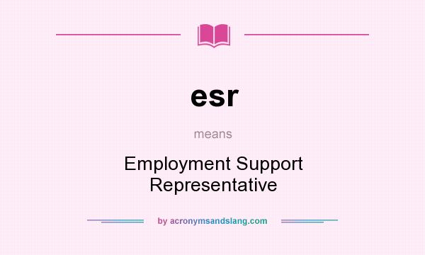 What does esr mean? It stands for Employment Support Representative