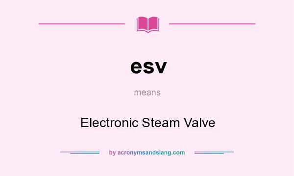 What does esv mean? It stands for Electronic Steam Valve
