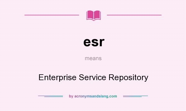 What does esr mean? It stands for Enterprise Service Repository