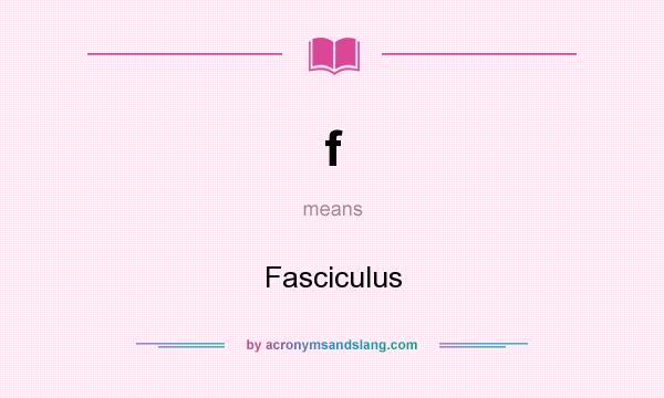 What does f mean? It stands for Fasciculus