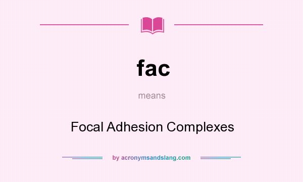 What does fac mean? It stands for Focal Adhesion Complexes