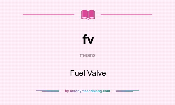 What does fv mean? It stands for Fuel Valve