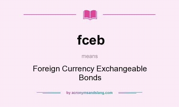 What does fceb mean? It stands for Foreign Currency Exchangeable Bonds