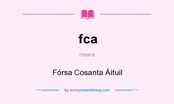 What does fca mean? It stands for Fórsa Cosanta Áituil