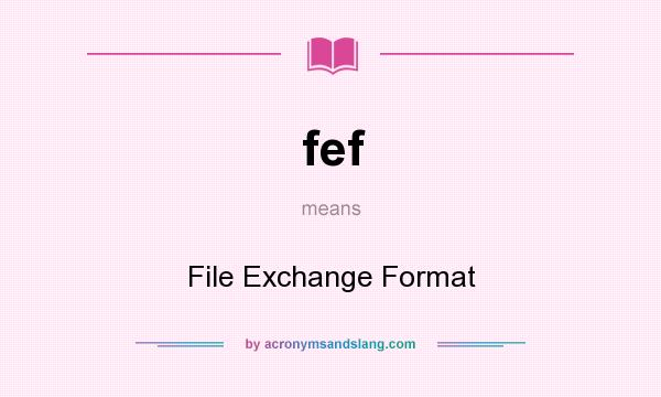 What does fef mean? It stands for File Exchange Format