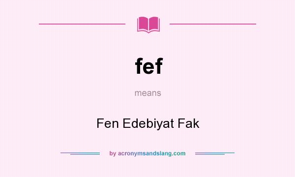 What does fef mean? It stands for Fen Edebiyat Fak