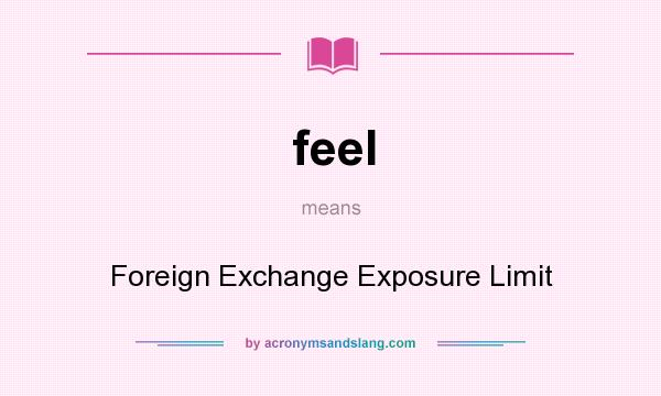 What does feel mean? It stands for Foreign Exchange Exposure Limit
