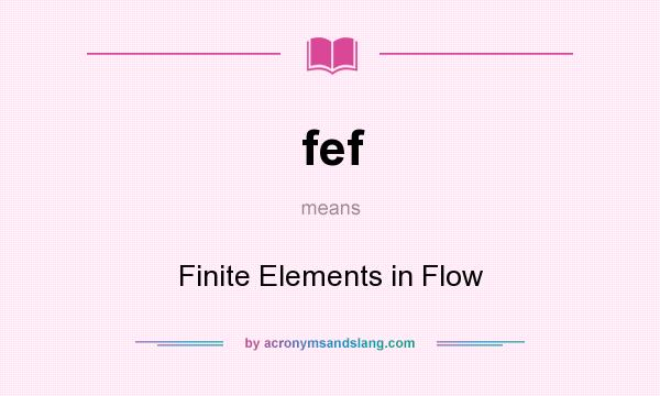 What does fef mean? It stands for Finite Elements in Flow