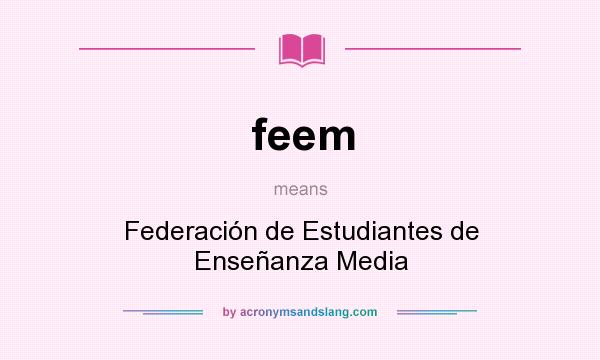 What does feem mean? It stands for Federación de Estudiantes de Enseñanza Media