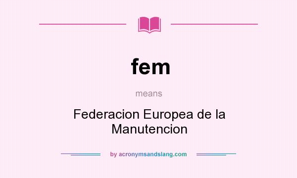 What does fem mean? It stands for Federacion Europea de la Manutencion