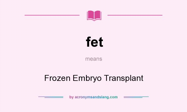What does fet mean? It stands for Frozen Embryo Transplant