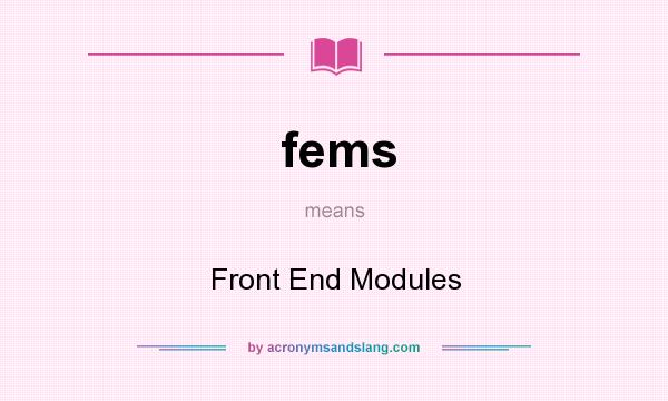 What does fems mean? It stands for Front End Modules
