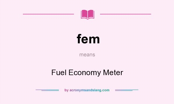 What does fem mean? It stands for Fuel Economy Meter