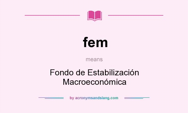 What does fem mean? It stands for Fondo de Estabilización Macroeconómica