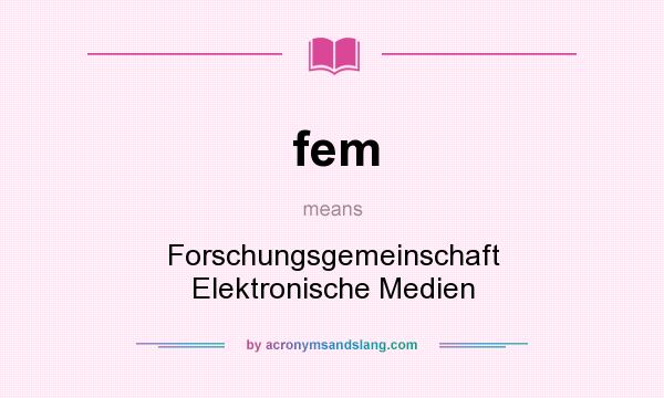 What does fem mean? It stands for Forschungsgemeinschaft Elektronische Medien