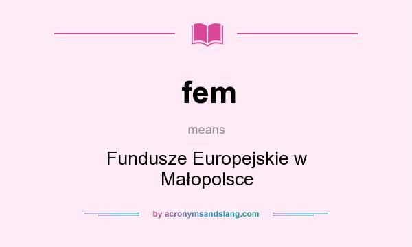 What does fem mean? It stands for Fundusze Europejskie w Małopolsce