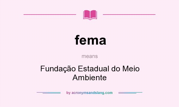 What does fema mean? It stands for Fundação Estadual do Meio Ambiente