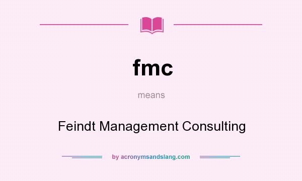 What does fmc mean? It stands for Feindt Management Consulting