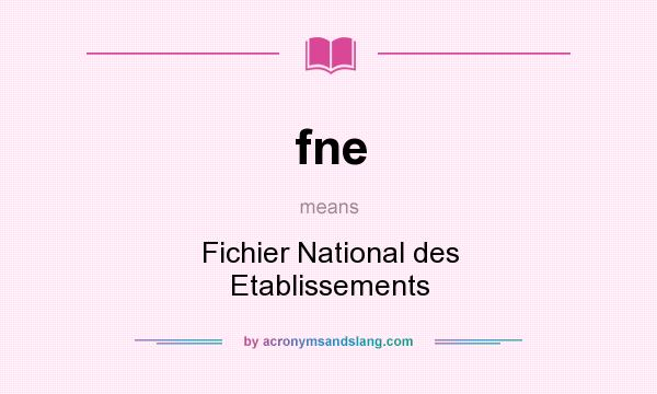 What does fne mean? It stands for Fichier National des Etablissements
