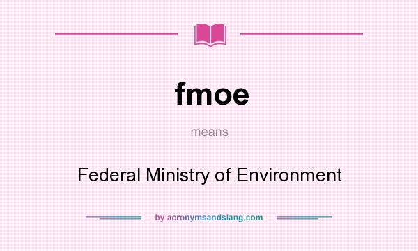 What does fmoe mean? It stands for Federal Ministry of Environment