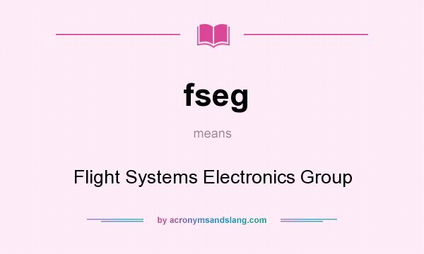 What does fseg mean? It stands for Flight Systems Electronics Group