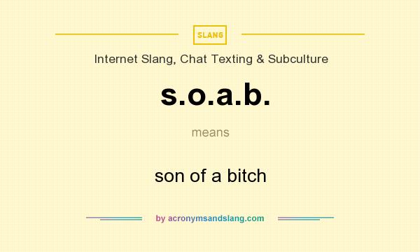 What does s.o.a.b. mean? It stands for son of a bitch